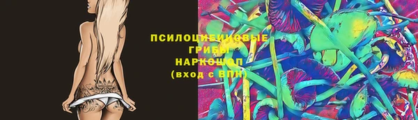 прущие крисы Абинск