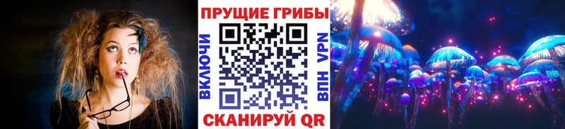 Псилоцибиновые грибы мицелий  kraken ТОР  Агидель 